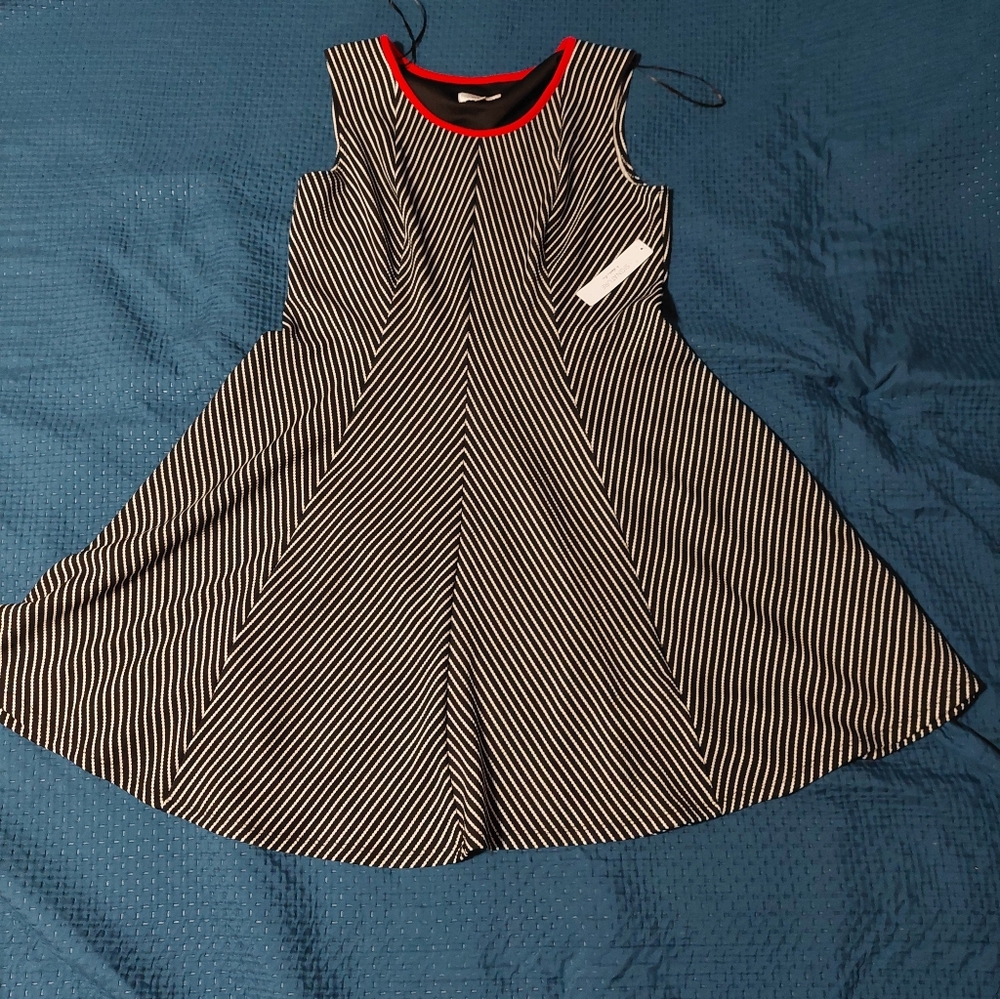 Signature by Robbie Bee Black and White Striped Dress with Red Trim